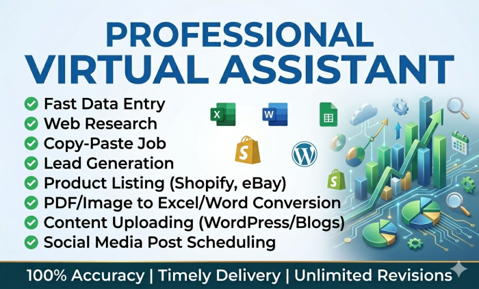 I will provide fast and accurate data entry, web research, and virtual assistant support