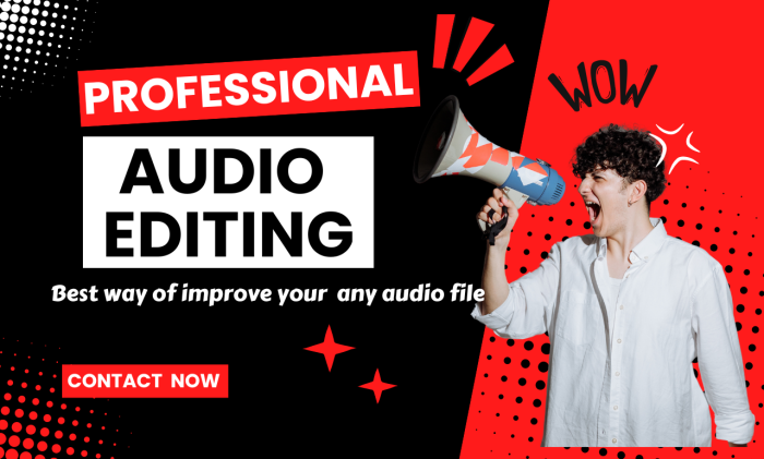 I will edit, noise reduction, enhance, cleanup, fix your audio
