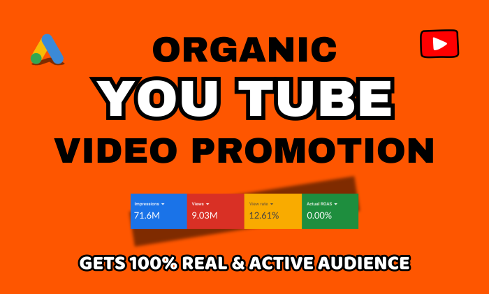 I will do organic YouTube video promotion by google ads
