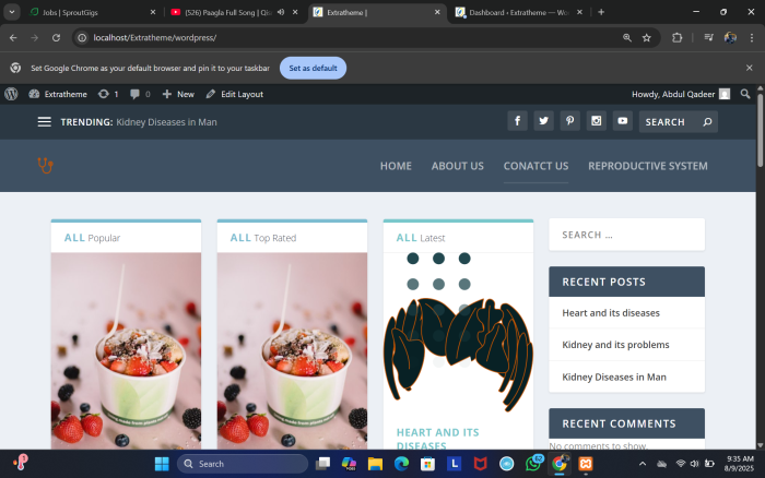 I will make a website for you also write 10 articles