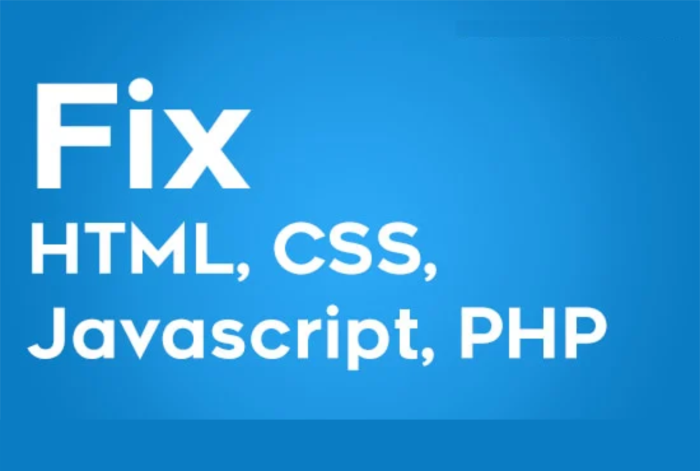 I will edit html, css, js and modify or fix bugs in website