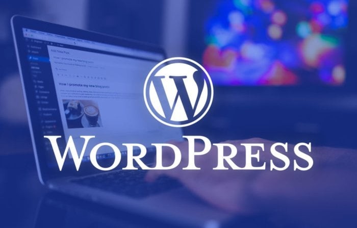 I Will Create a Professional Wordpress Website At A Lower Cost.