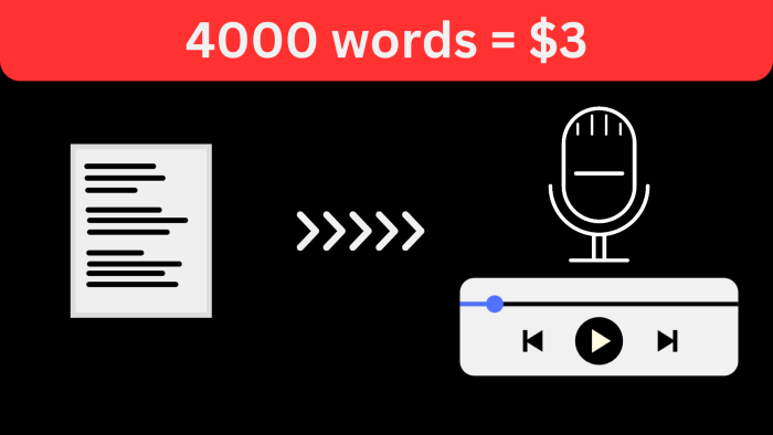 I Will Convert 10000 Words Blog Post, Article Or Text To Speech