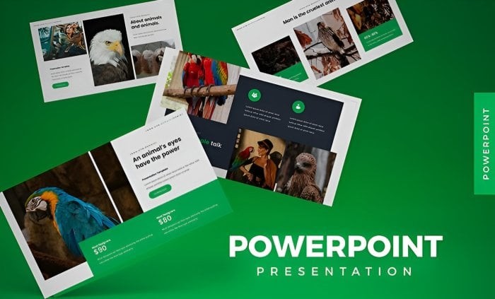 I Will Create Powerpoint Presentation Design, Powerpoint Template, Keynote Presentation