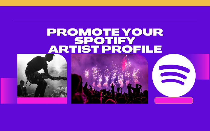 I will Promote your Spotify Artist profile | Grow Spotify Playlist