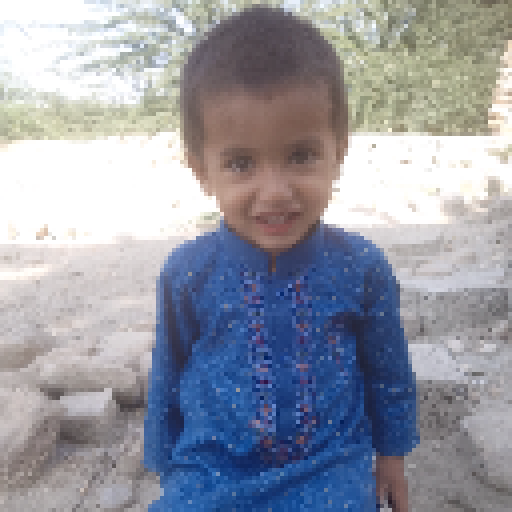 Naqib Islam